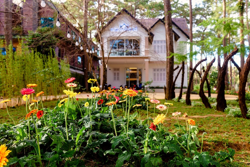 Vietnam eco-resorts 2026_2
