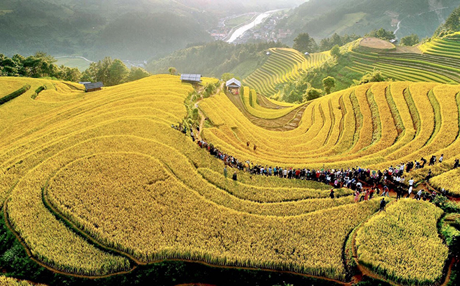 authentic local experiences Vietnam_2