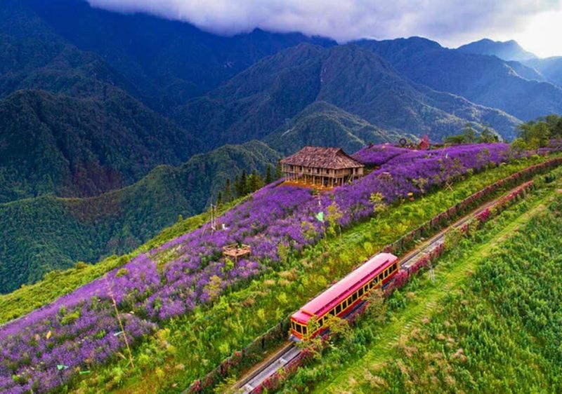 authentic local experiences Vietnam_3