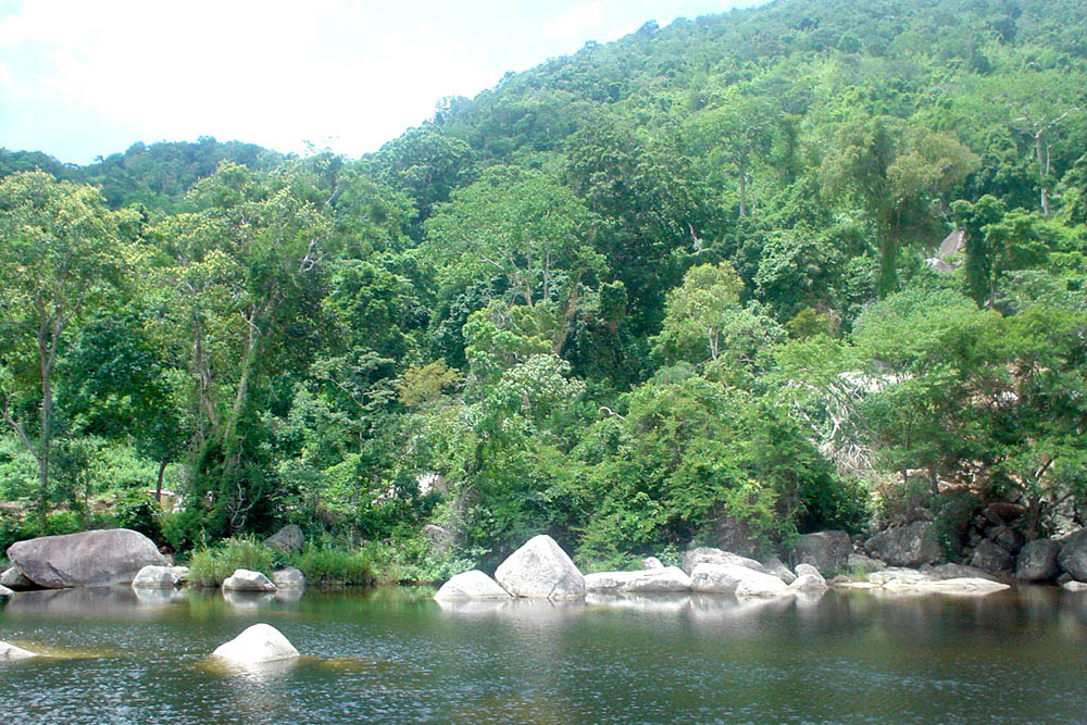 best jungle treks in Vietnam_2