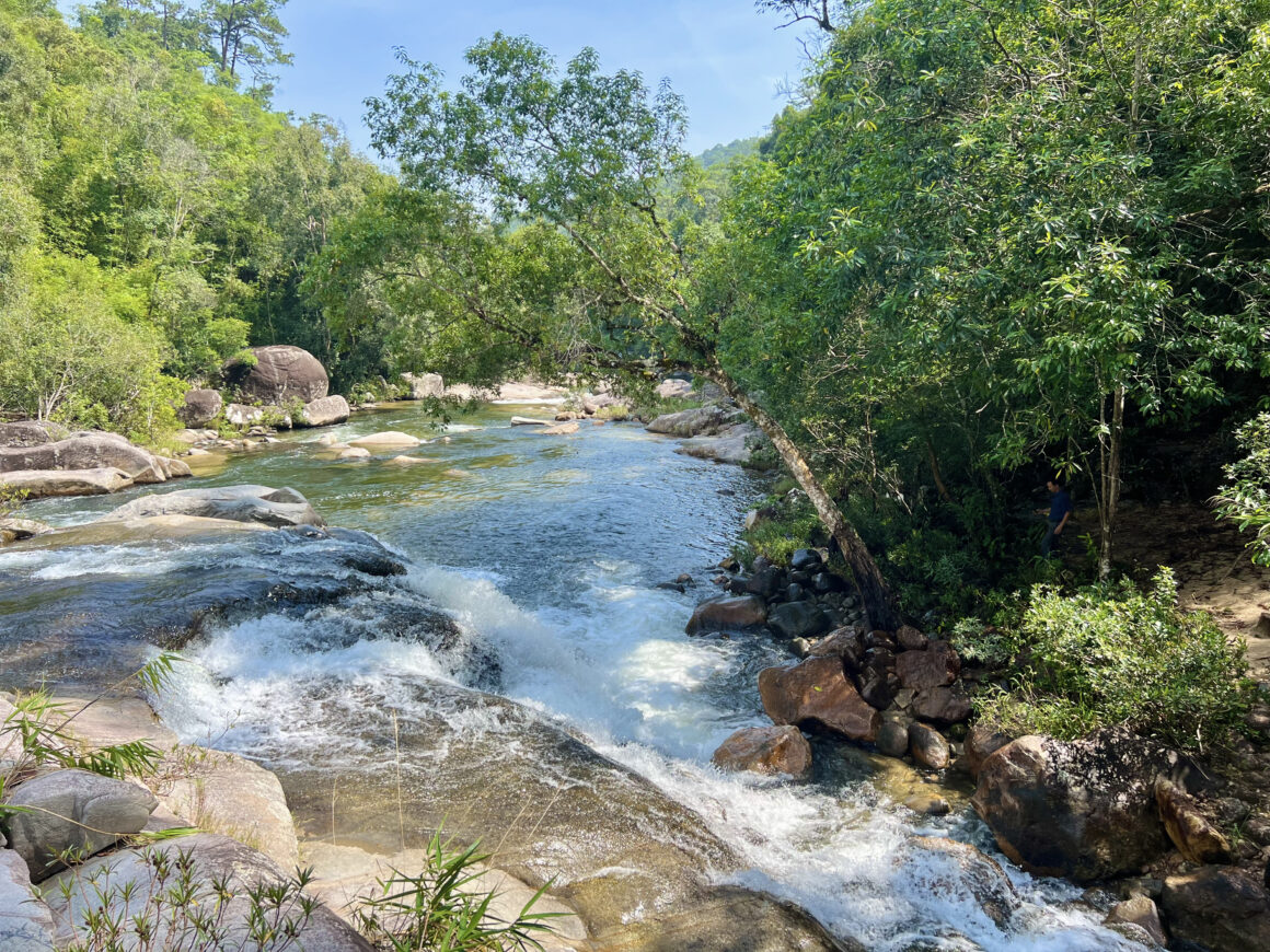 best jungle treks in Vietnam_3