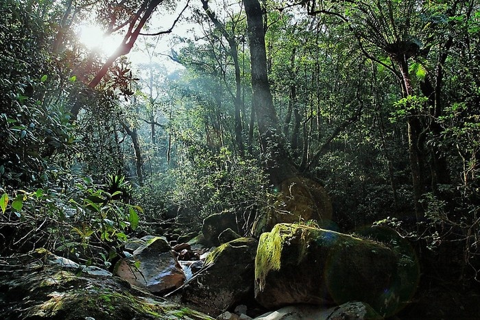 best jungle treks in Vietnam_4