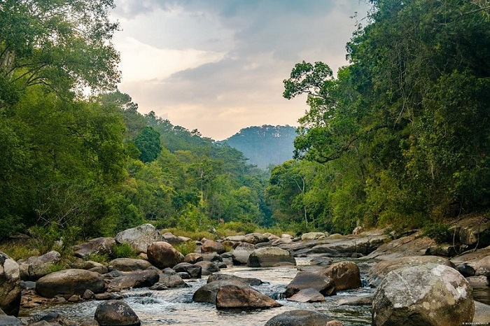 best jungle treks in Vietnam_5