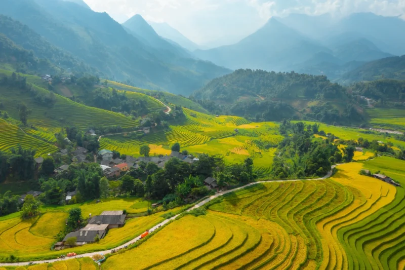 best rice terraces in Sapa_1