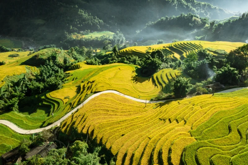 best rice terraces in Sapa_2