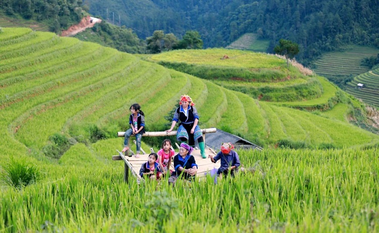 best rice terraces in Sapa_3