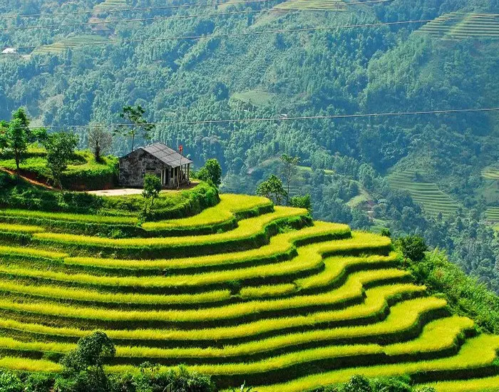 best rice terraces in Sapa_4