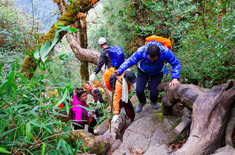 climbing Fansipan Sapa_6