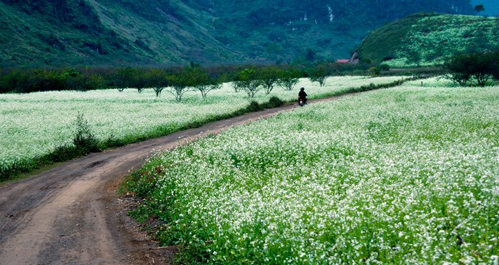 digital detox in Vietnam_2