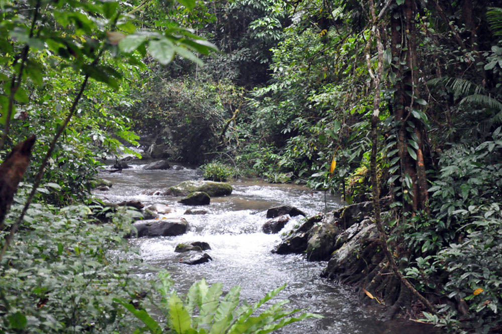 hardcore hiking routes Vietnam_6