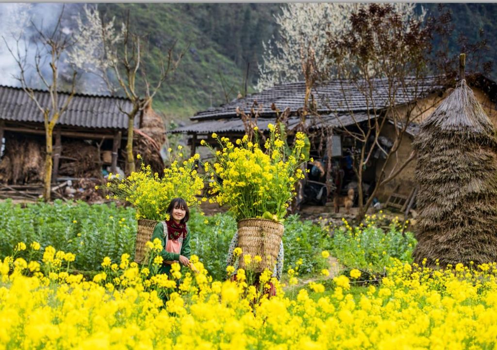 healing trekking tours Southeast Asia_1