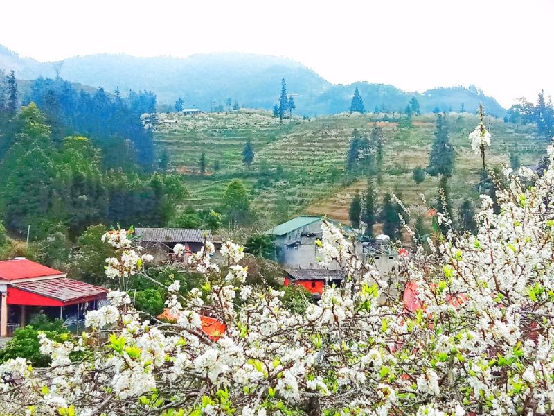 hidden villages in Vietnam_9(2)