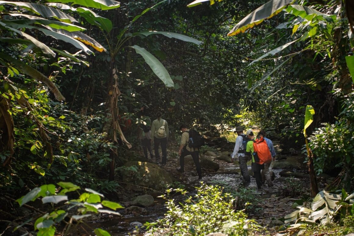 tropical rainforest hiking Southeast Asia_3