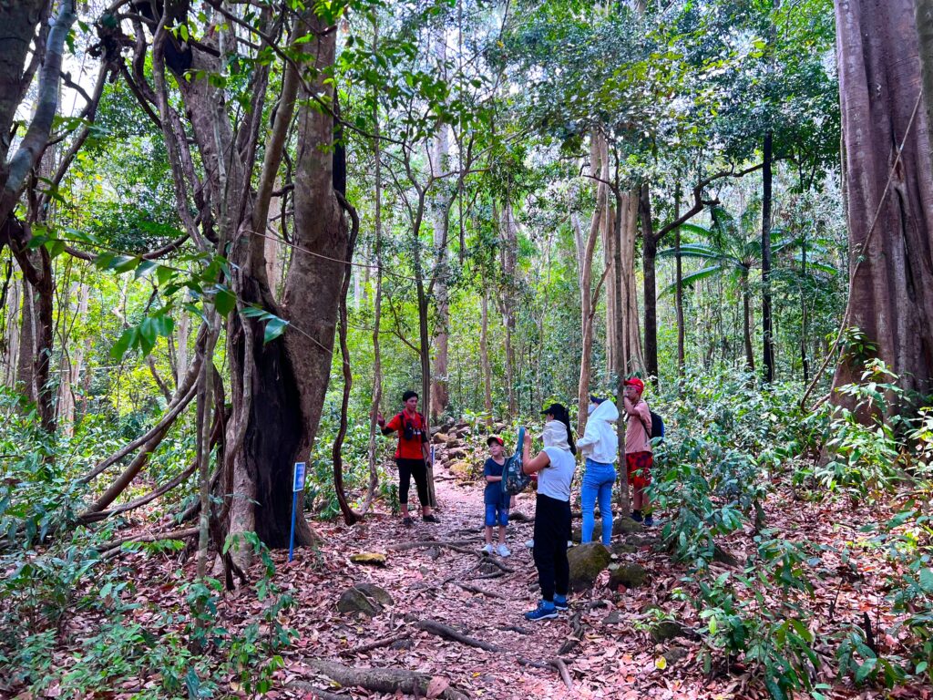tropical rainforest hiking Southeast Asia_4