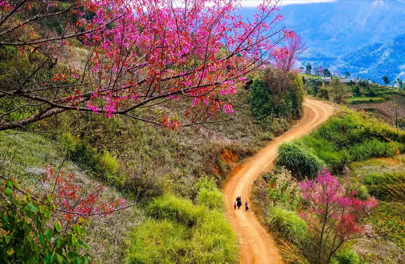 walking tours Sapa_1