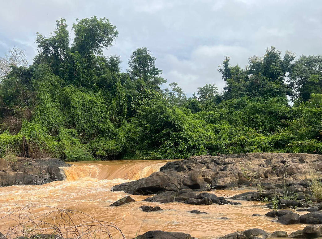 Vườn Quốc gia Yok Đôn National Park