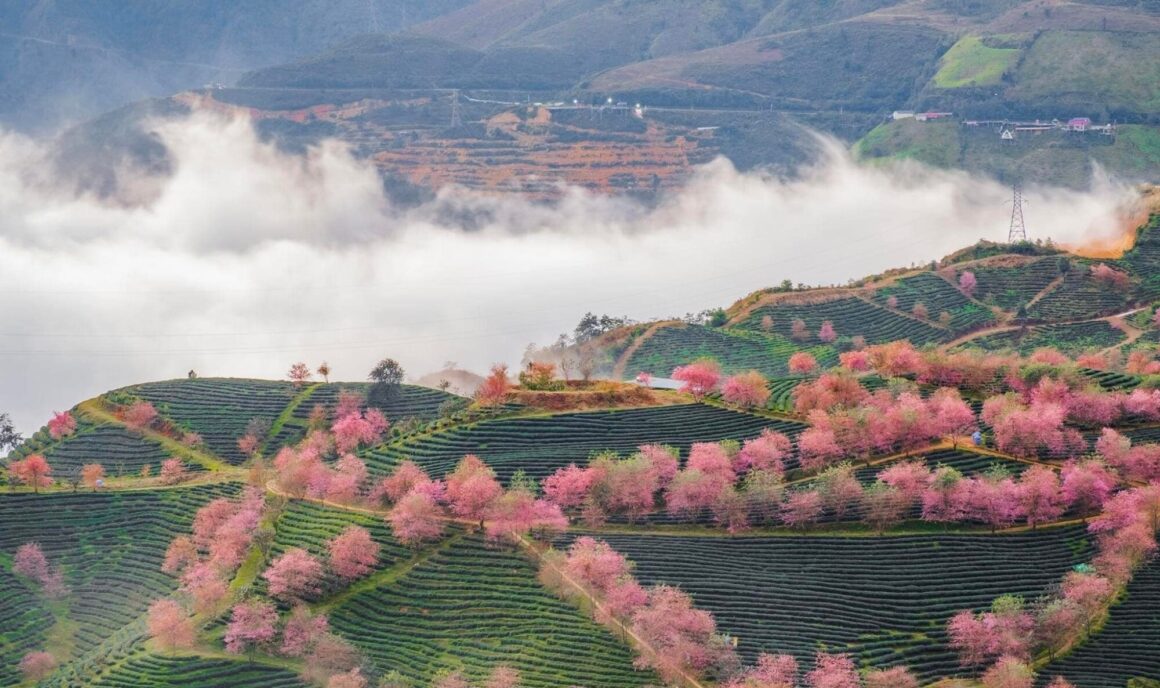 Sapa cloud hunting guide_2
