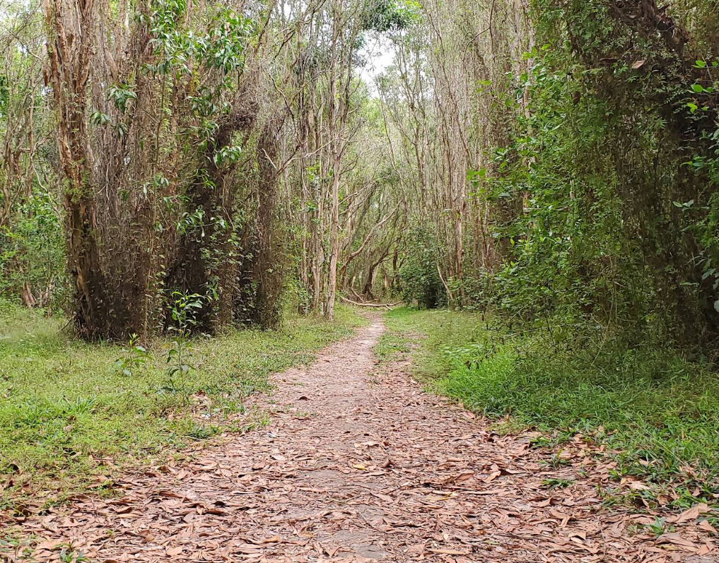 Binh Chau – Phuoc Buu Nature Reserve