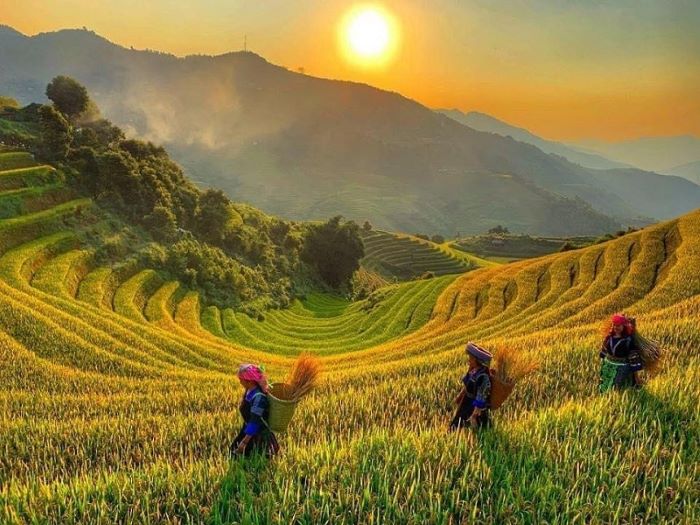 best eco tourism destinations in Vietnam_4