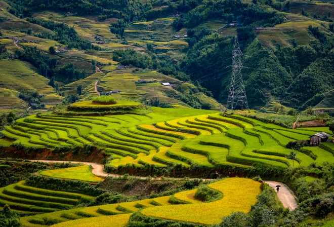 best rice terraces in Northern Vietnam_6
