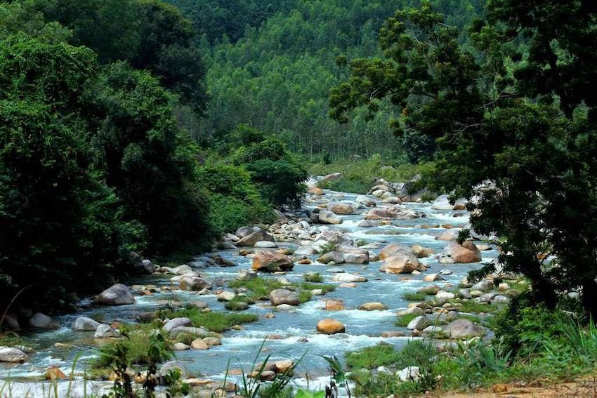 Khu Bảo tồn thiên nhiên Hòn Bà Nature Reserve