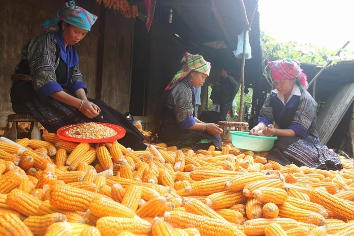 Sapa trekking guide by locals_4