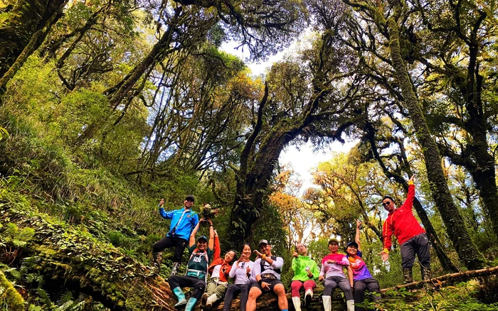 Shan Tuyet tea trekking_3