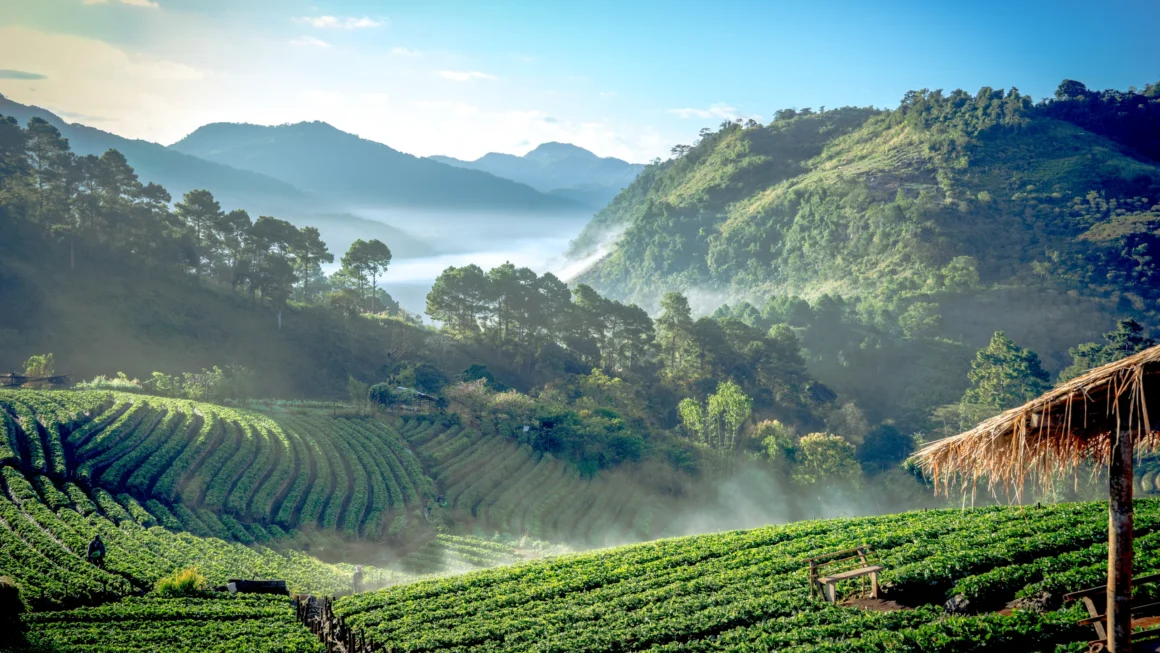 Southeast Asia outdoor guide_thumb