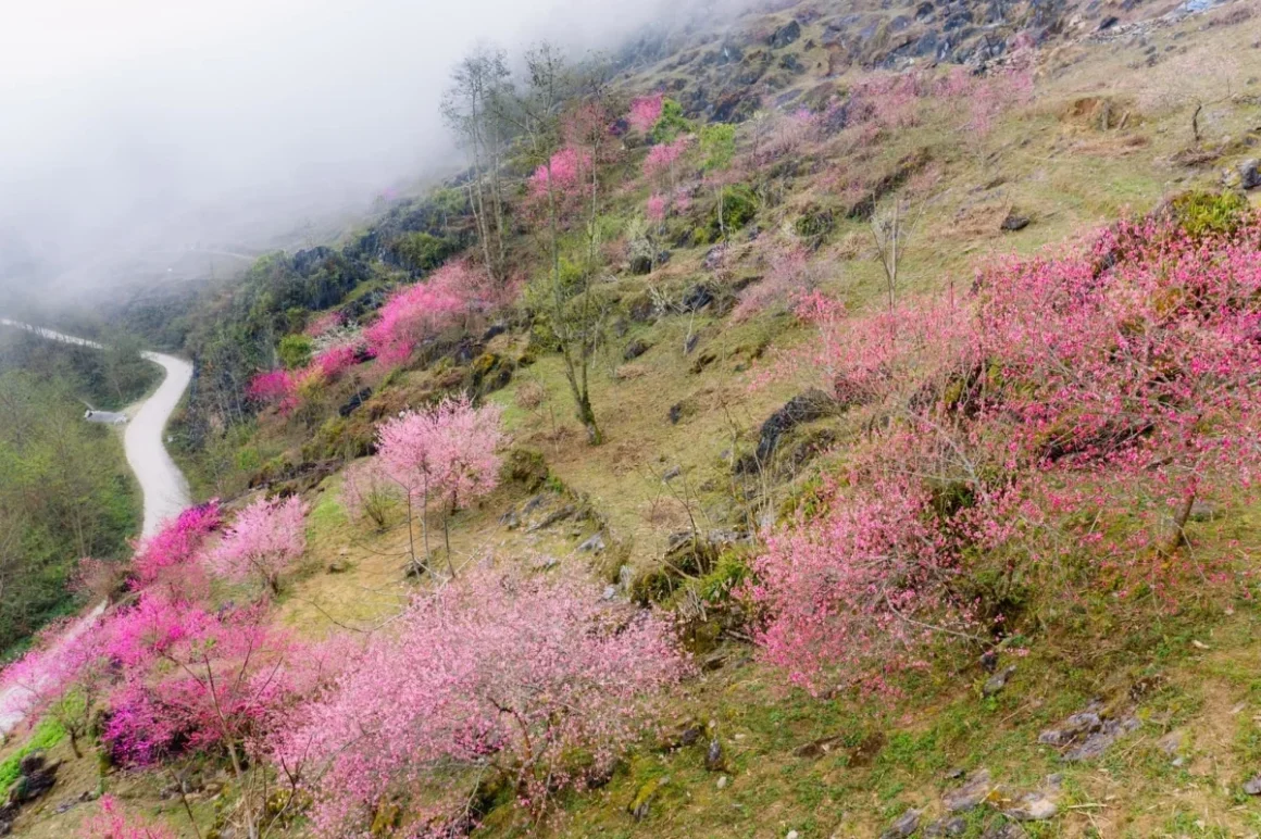 best time for Ha Giang Loop_2