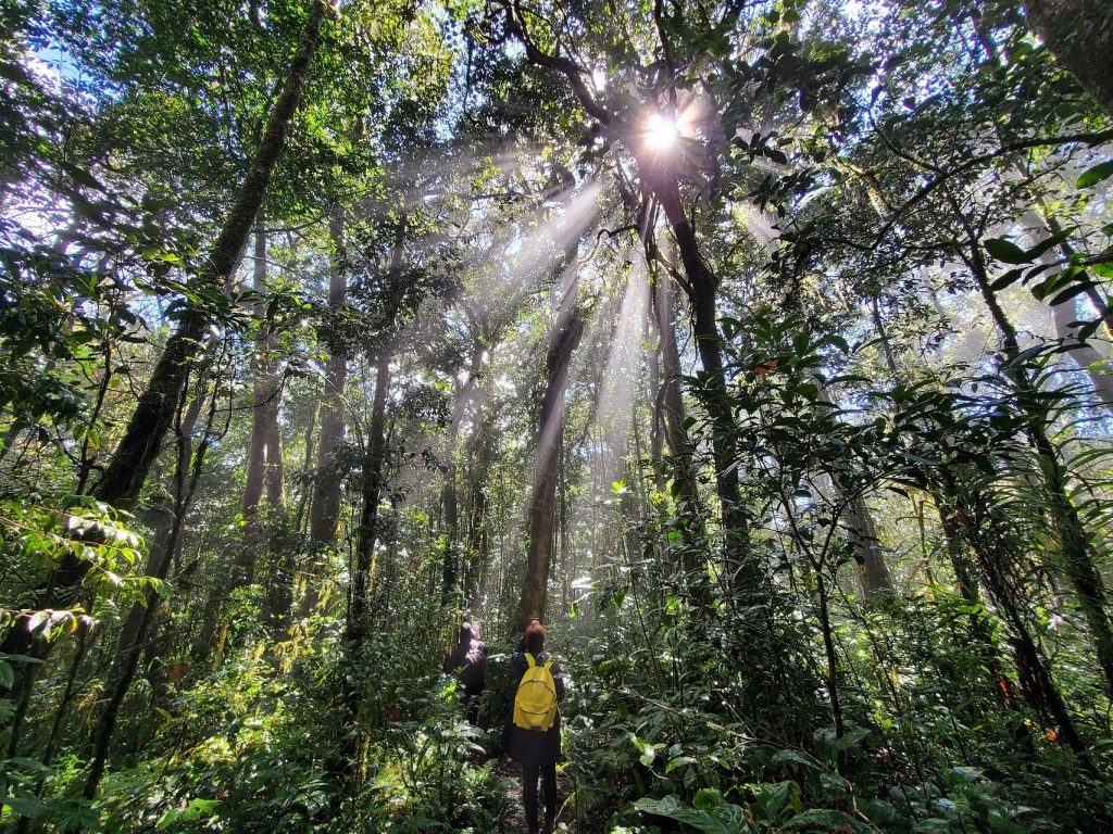 trekking Bidoup Nui Ba_3