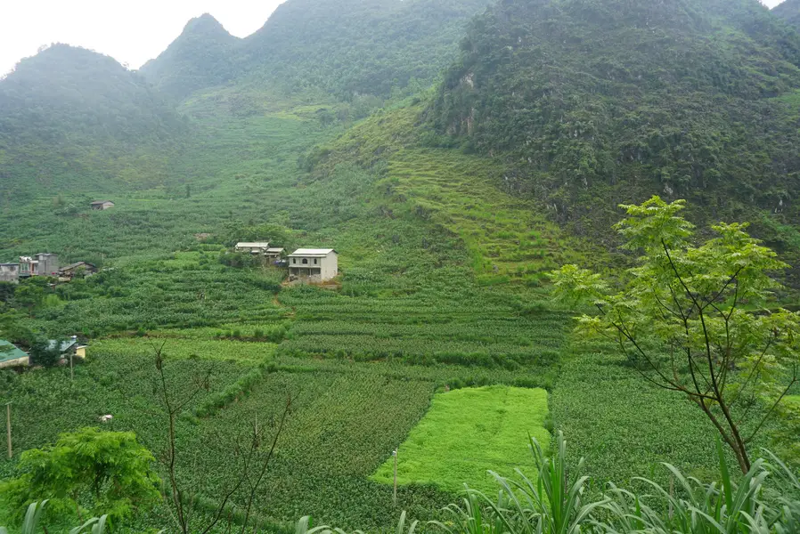 best time for Ha Giang Loop_4