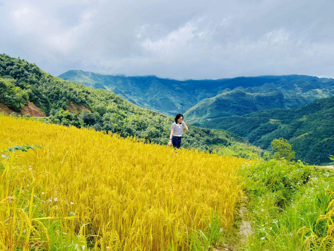 best time for Ha Giang Loop_5