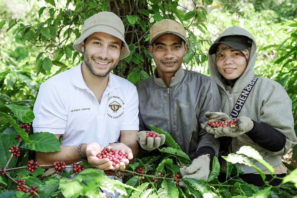 coffee tourism in Dak Lak_5