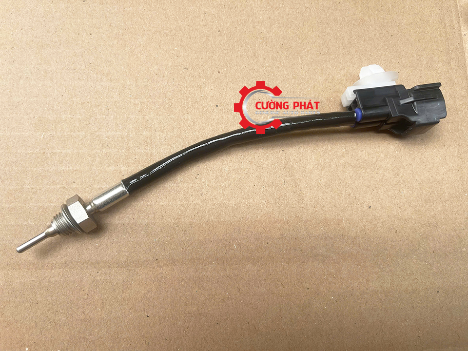 Góc chụp cận cảnh cảm biến khí nạp cổ hút Triton 2019-2024 chính hãng