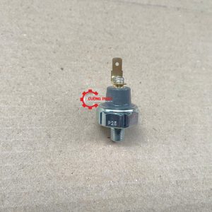 Góc chụp cận cảnh công tắc báo áp suất dầu V33, V45, V73 chính hãng