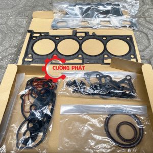 Góc chụp cận cảnh bộ gioăng đại tu Outlander 2017-2026 chính hãng