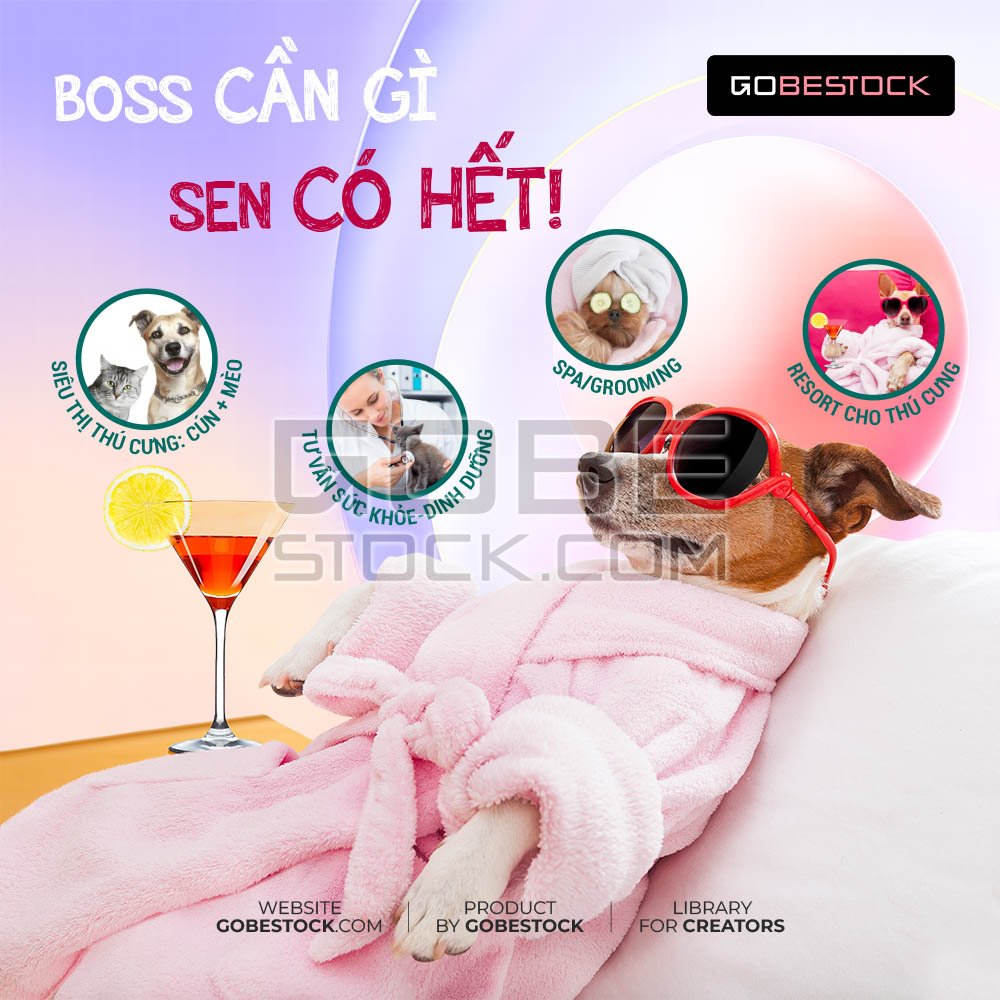 Post social spa relax for pet