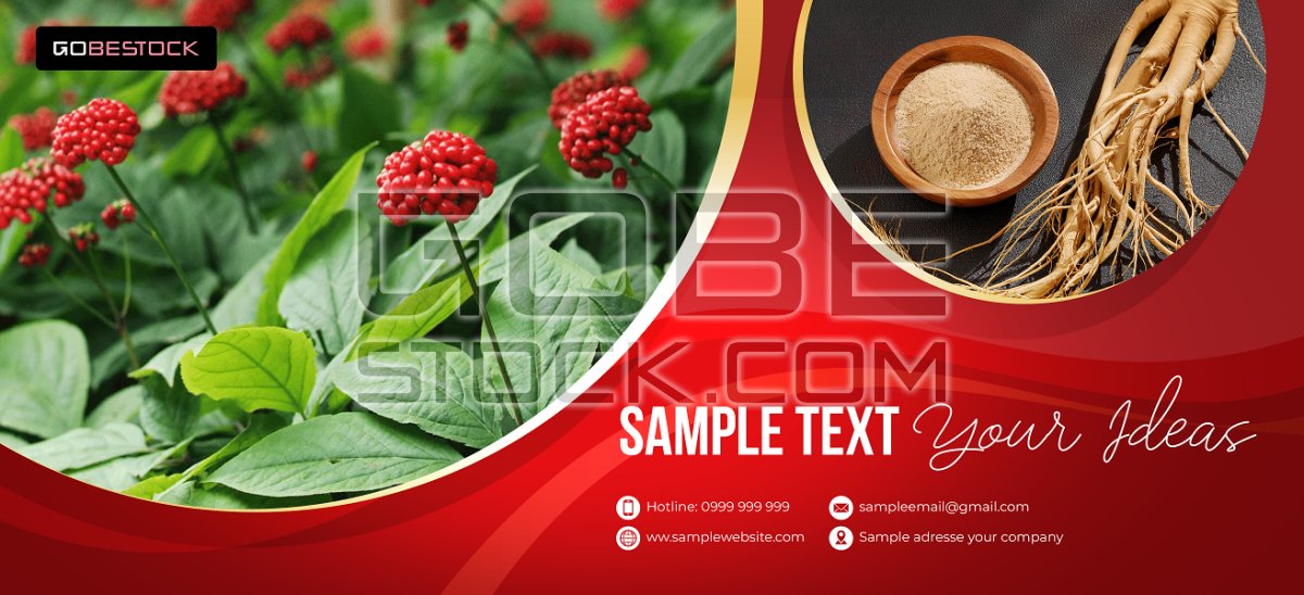 Banner ginseng 01