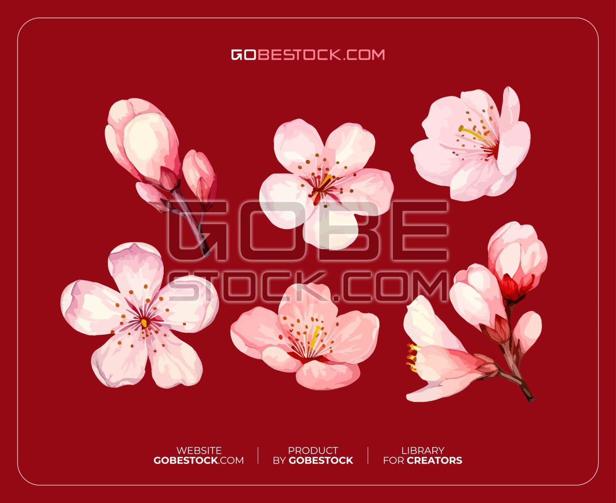Pink collection apricot blossom