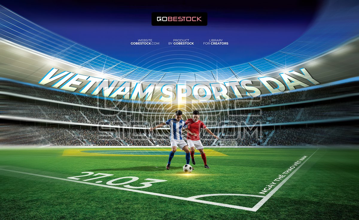 Vietnam Sports Day (3)