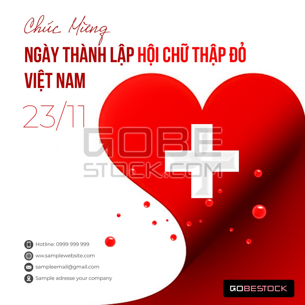 Vietnam Red Cross Society (VNRC) 01
