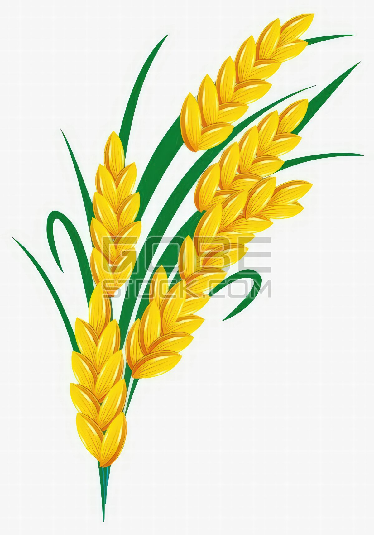 Rice tree, Rice plant