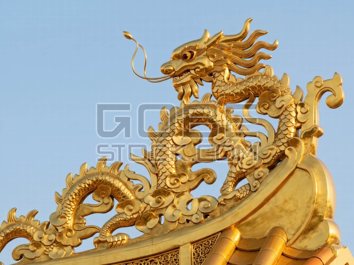 The image of the Vietnamese golden dragon (3)