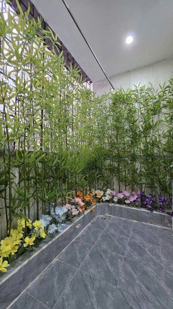Nhà riêng 35m2 – 3 ngủ – Phố Đào Tấn ctvo - ảnh 10