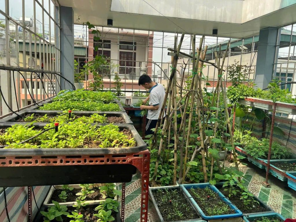 NHÀ RIÊNG VPKD 50M2 – 4 NGỦ – Khu dịch vụ Hàng Bè, Kiến Hưng CTVO - ảnh 8