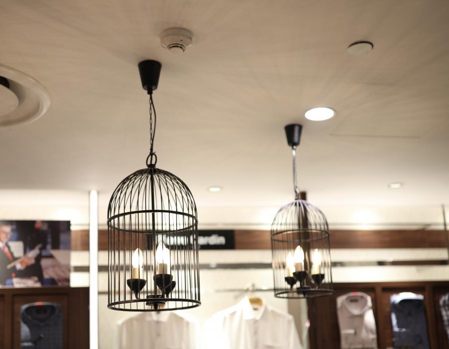 Đèn thả lồng chim khung sắt