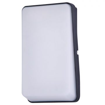 Đèn vách tường LED ngoài trời hình chữ nhật Venus 2501