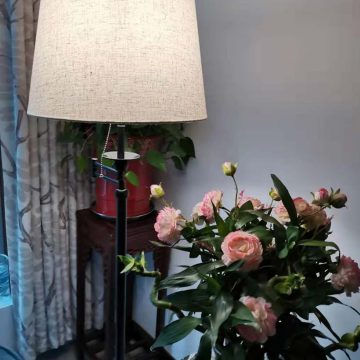 Đèn cây trang trí góc sofa hiện đại Venus LD708/1B
