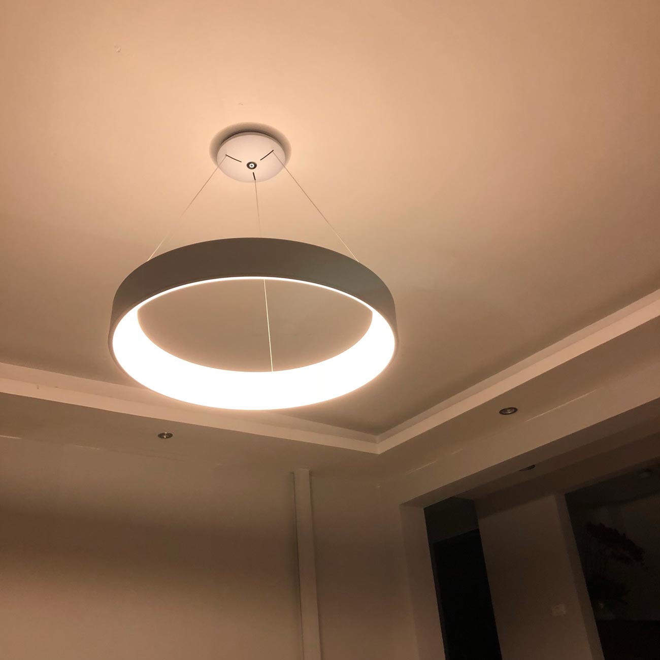Đèn thả LED một vòng tròn Venus 8285