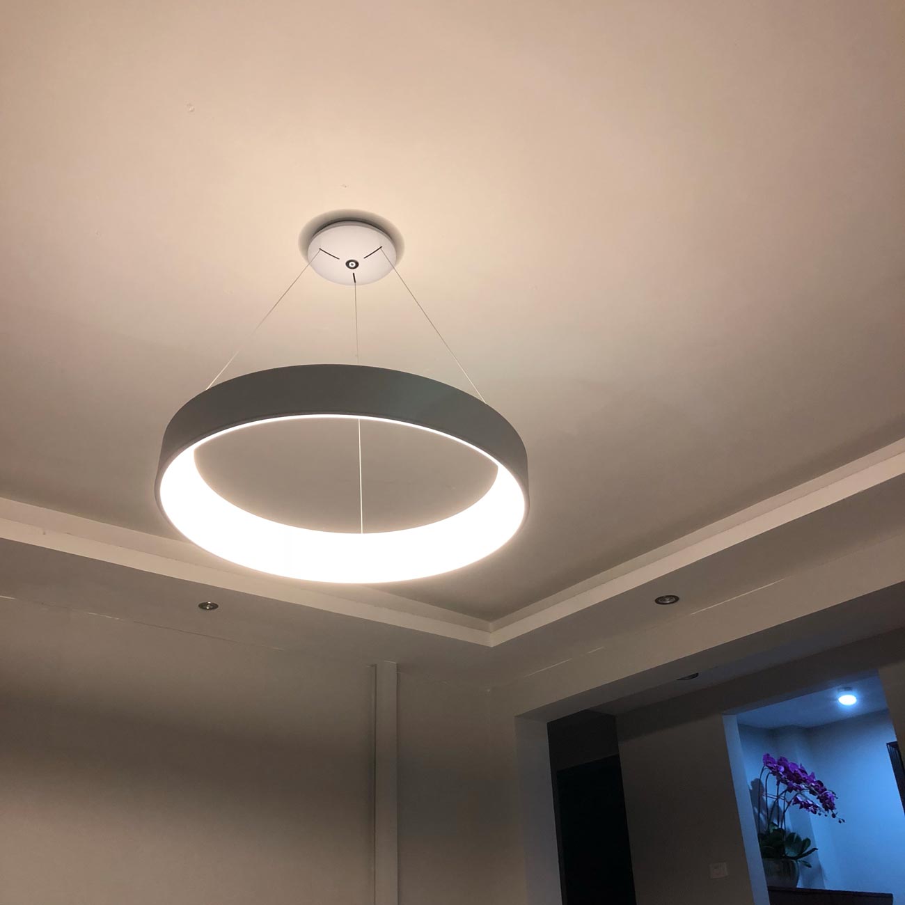 Đèn thả LED vòng tròn Venus 8285